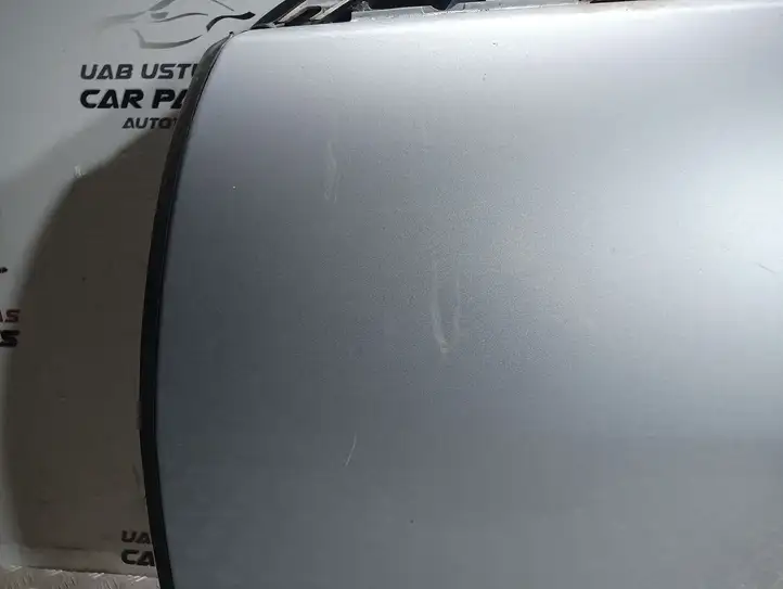 Jaguar XF X250 (2007 - 2015) Дверь — фото 3