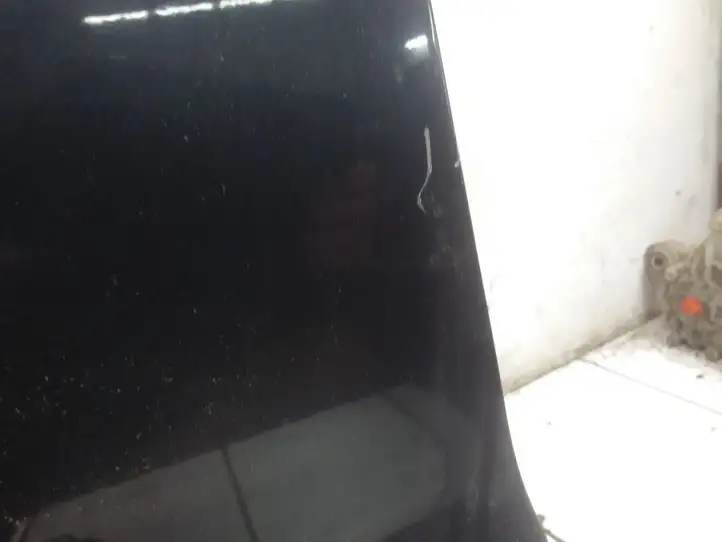 Ford S-Max (2006 - 2010)   Дверь