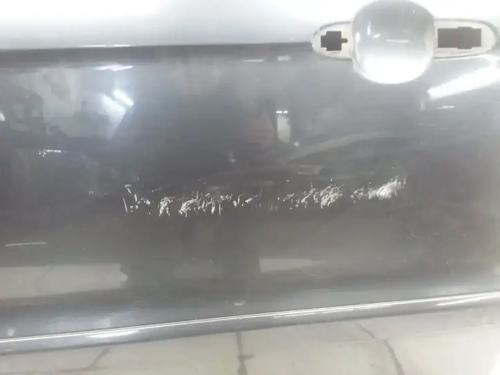 Ford S-Max (2006 - 2010)   Дверь