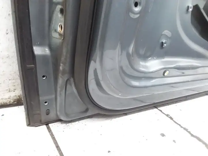 Volkswagen Golf V (2003 - 2009) Дверь — фото 10