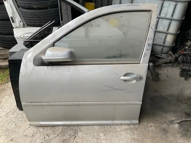 Volkswagen Golf IV (1998 - 2005) Дверь — фото 1