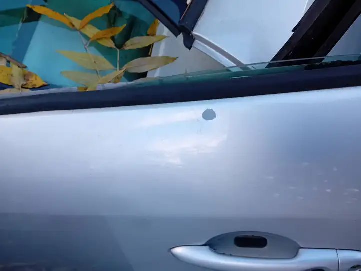 Renault Megane III (2009 - 2016) Дверь — фото 3