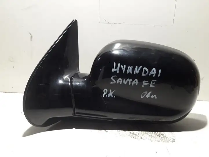 Hyundai Santa Fe (2000 - 2005) Боковое зеркало с электроприводом — фото 1