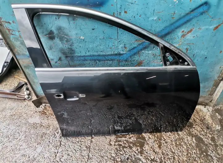 Opel Insignia A (2008 - 2017) Дверь — фото 1