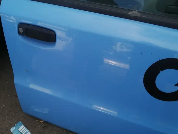 Fiat Panda II (2004 - 2011) Дверь — фото 2