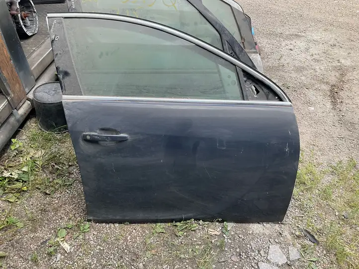 Opel Insignia A (2008 - 2017) Дверь — фото 1