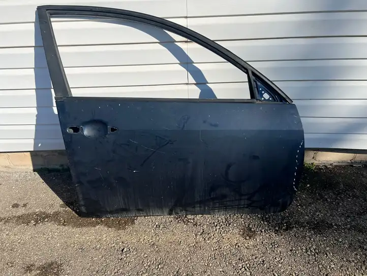 Nissan Primera (2001 - 2008) Дверь — фото 1