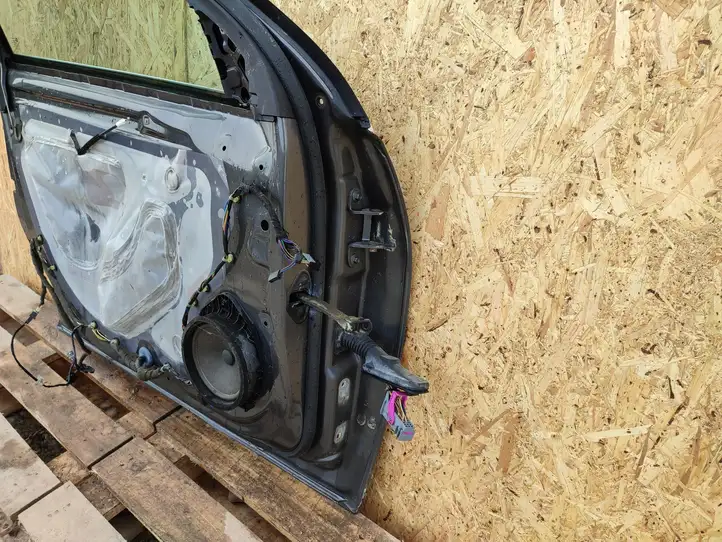Opel Insignia A (2008 - 2017) Дверь — фото 7
