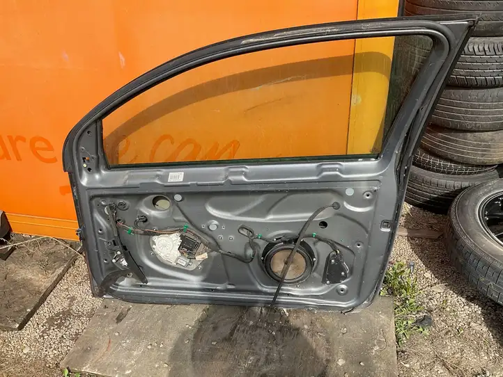 Volkswagen Golf V (2003 - 2009) Дверь — фото 4