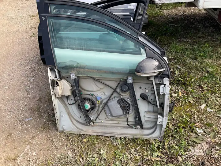 Volkswagen Golf V (2003 - 2009) Дверь — фото 1