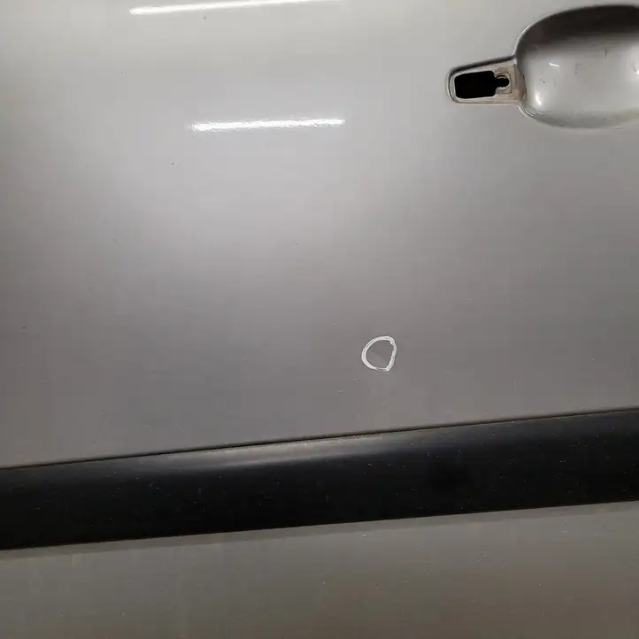 Citroen C4 I Picasso (2006 - 2013) Дверь — фото 3