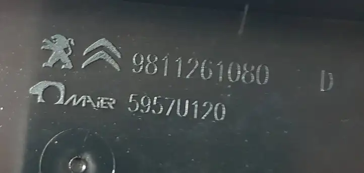 Citroen C5 Aircross (2017 - ) 9811261080 Накладка стекла передней двери — фото 5