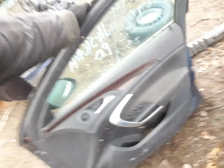 Opel Insignia A (2008 - 2017) Дверь — фото 2