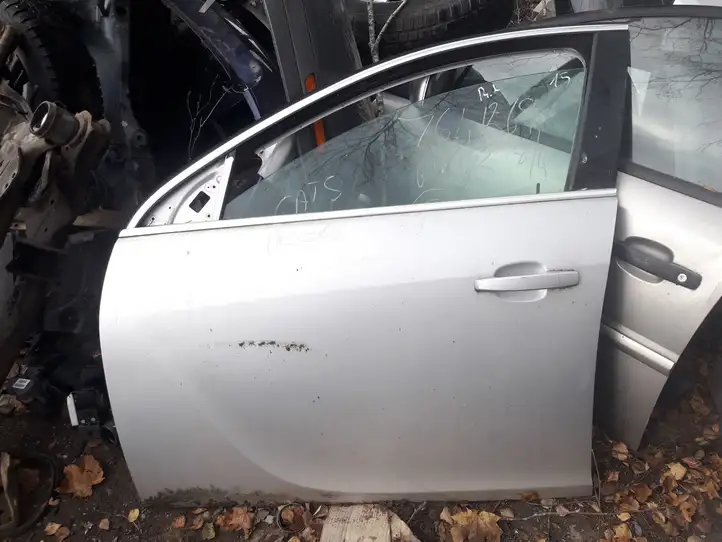 Opel Insignia A (2008 - 2017) Дверь — фото 1