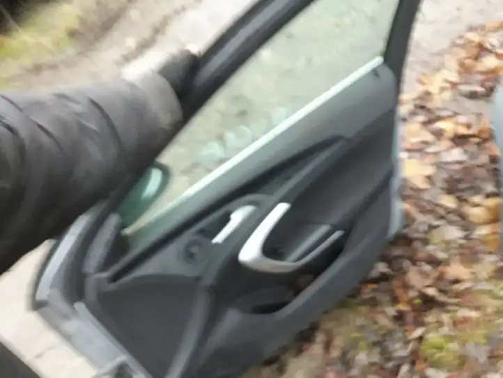 Opel Insignia A (2008 - 2017) Дверь — фото 2