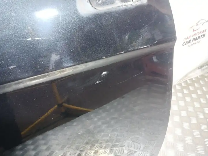 Chevrolet Captiva (2006 - 2011) Дверь — фото 4