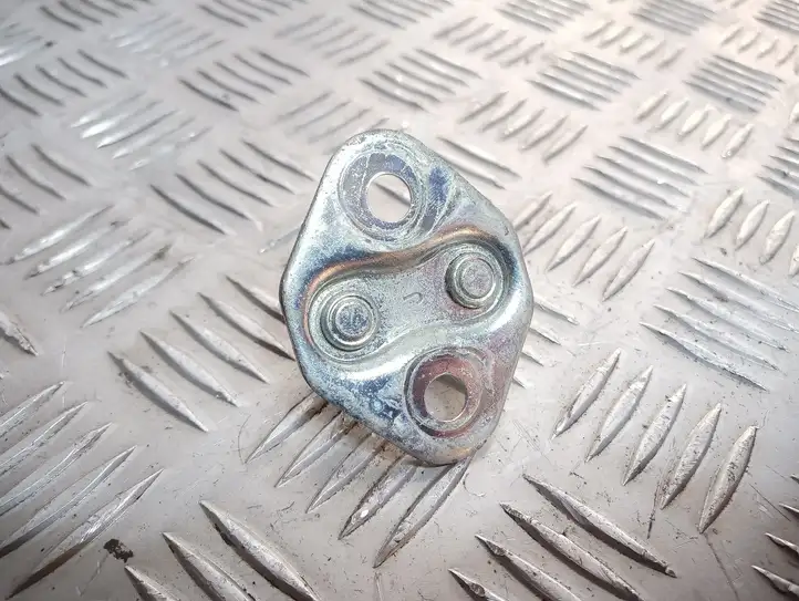 Toyota RAV 4 (XA20) (2000 - 2005)   Петля замка передней двери