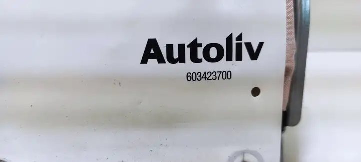Volvo XC90 (2006 - 2014) 606833300 Подушка безопасности пассажира — фото 5