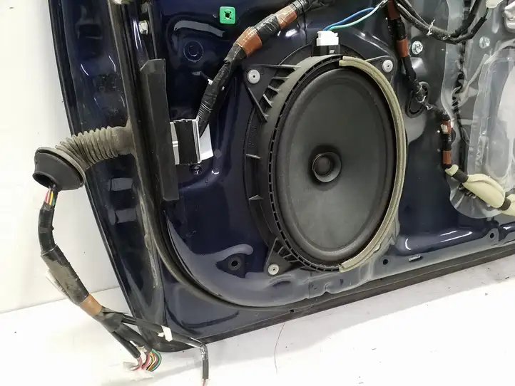 Toyota Prius (XW30) (2009 - 2015) Дверь — фото 9