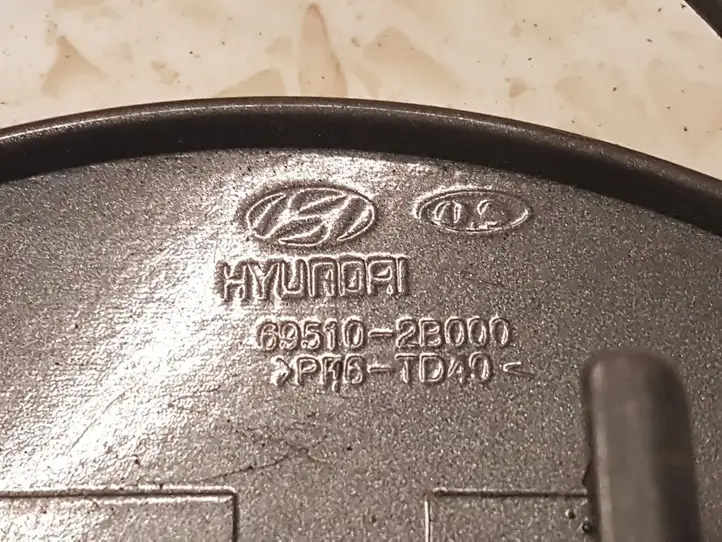 Hyundai Santa Fe (2005 - 2009) 695102B000 Крышка топливного бака — фото 2