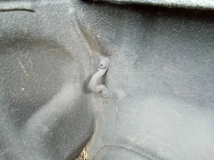 Toyota Hilux (AN120, AN130) (2015 - 2017) Кузов — фото 24