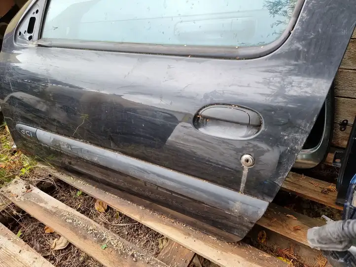 Renault Clio II (2001 - 2005) Дверь — фото 4