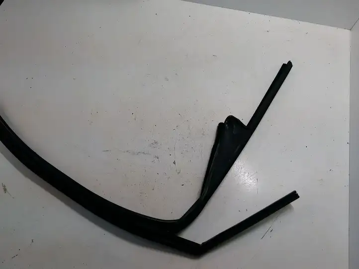 Volkswagen Golf Plus (2004 - 2008)   Уплотнительная резина стекла передней двери