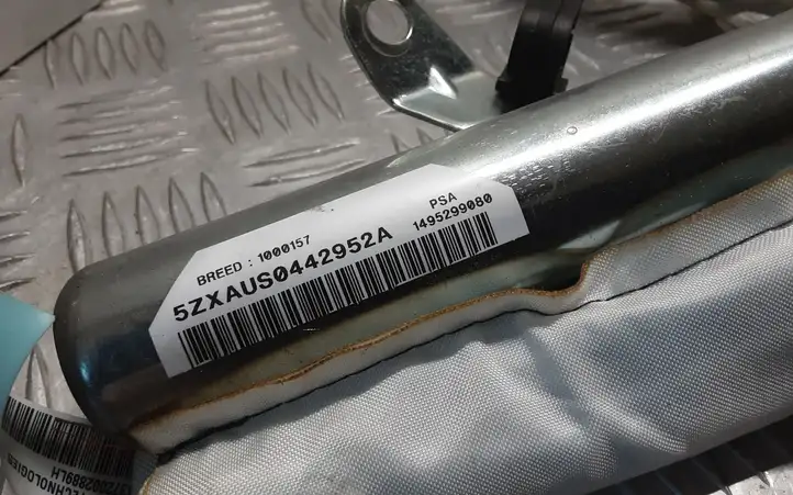 Citroen C8 (2002 - 2008) 1495299080 Боковая подушка безопасности шторка — фото 4