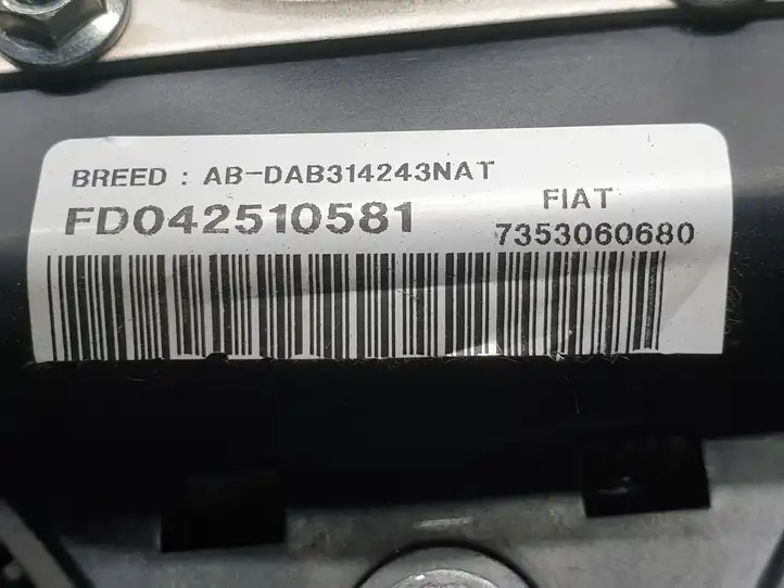 Fiat Ducato (2002 - 2006) 7353060680 Подушка безопасности руля — фото 5
