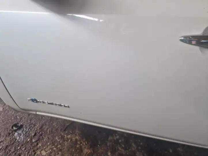Nissan Leaf I (ZE0) (2010 - 2017) Дверь — фото 3