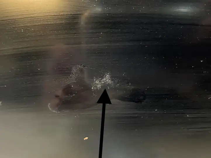 Tesla Model X (2015 - 2021) 112500900A Другая часть кузова — фото 6