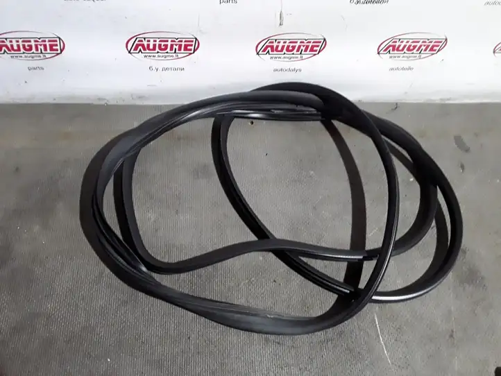 Ford B-MAX (2012 - 2018) Уплотнительная резина (на кузове) — фото 2