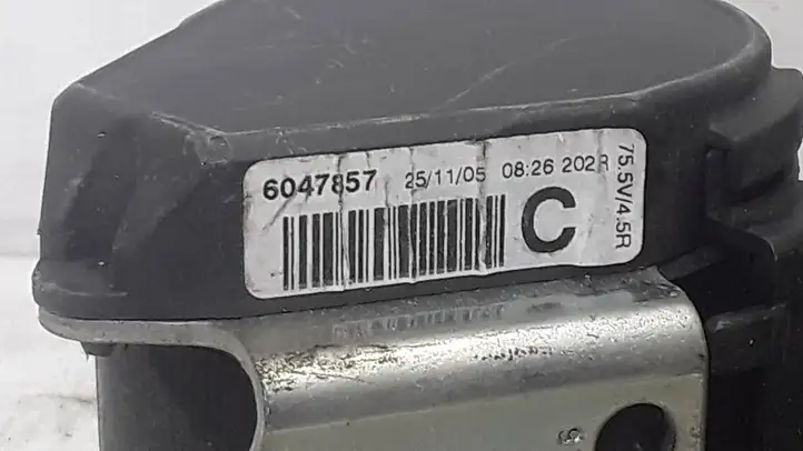Volkswagen Touran I (2003 - 2010) 6047857 Ремень безопасности потолочный — фото 3