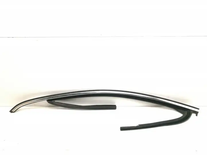 Volkswagen PASSAT B6 (2005 - 2010)  3C4837431F Отделка (молдинг) передней двери