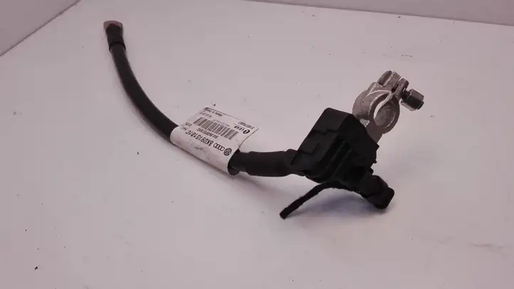 Audi A5 8T 8F (2007 - 2011) 8K0915181C Минусовой провод аккумулятора — фото 1