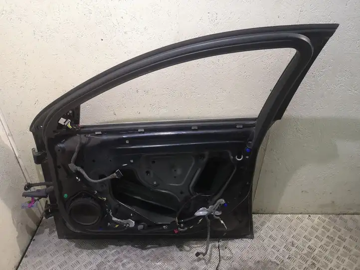 Opel Insignia A (2008 - 2017) Дверь — фото 5