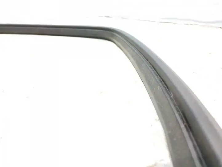 Mercedes-Benz A W169 (2004 - 2012) Уплотнитель стекла задней двери — фото 3