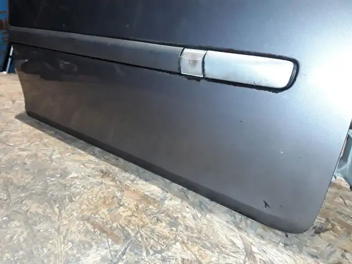 Renault Clio III (2005 - 2012) Дверь — фото 3