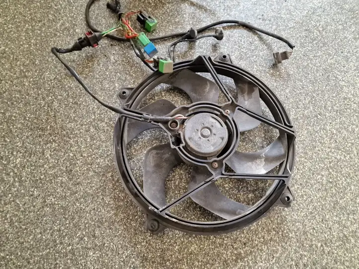 Chrysler Voyager (2001 - 2004) Электровентилятор радиатора — фото 1