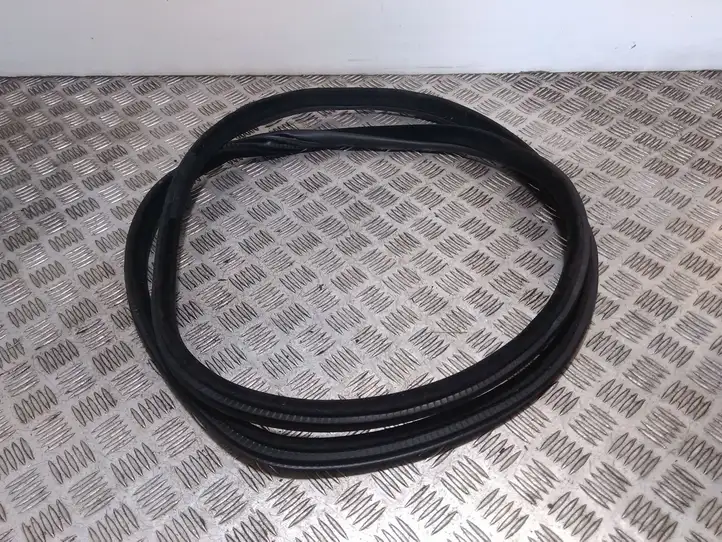 BMW X6 F16 (2014 - 2017)  7317822 Уплотнительная резина на задних дверях