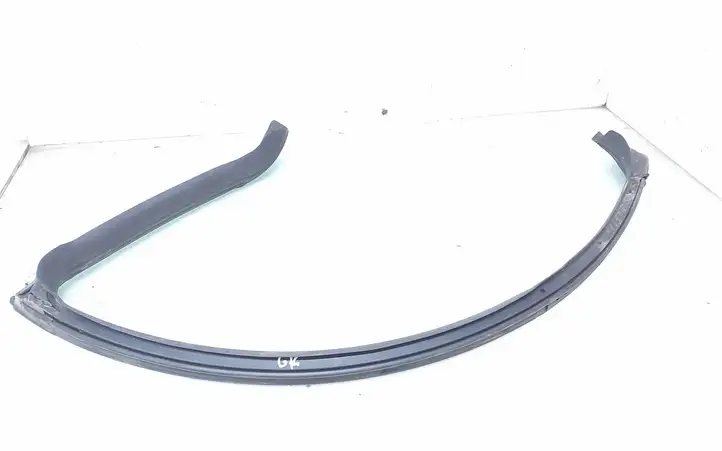 Mercedes-Benz CLS C219 (2003 - 2011)   Уплотнительная резина (на кузове)