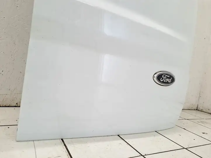 Ford Transit - Tourneo Connect (2009 - 2017) Багажная дверь — фото 2