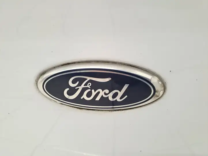 Ford Transit - Tourneo Connect (2009 - 2017) Багажная дверь — фото 22