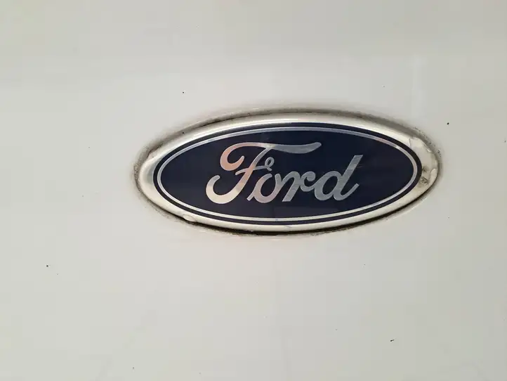 Ford Transit - Tourneo Connect (2009 - 2017) Багажная дверь — фото 24