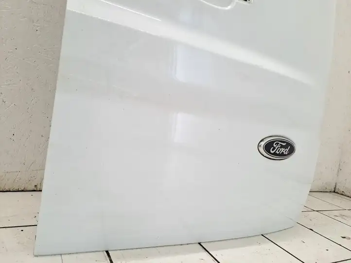 Ford Transit - Tourneo Connect (2009 - 2017) Багажная дверь — фото 25