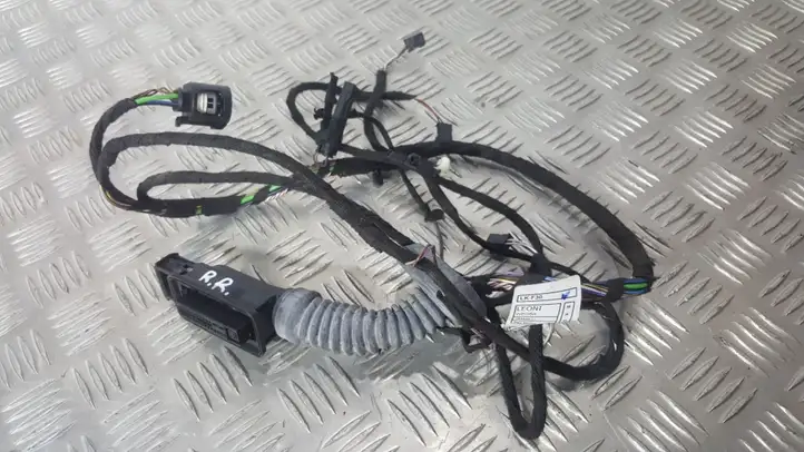 BMW 3 F30 F35 F31 (2012 - 2018) 9286250 Проводка задней двери — фото 1