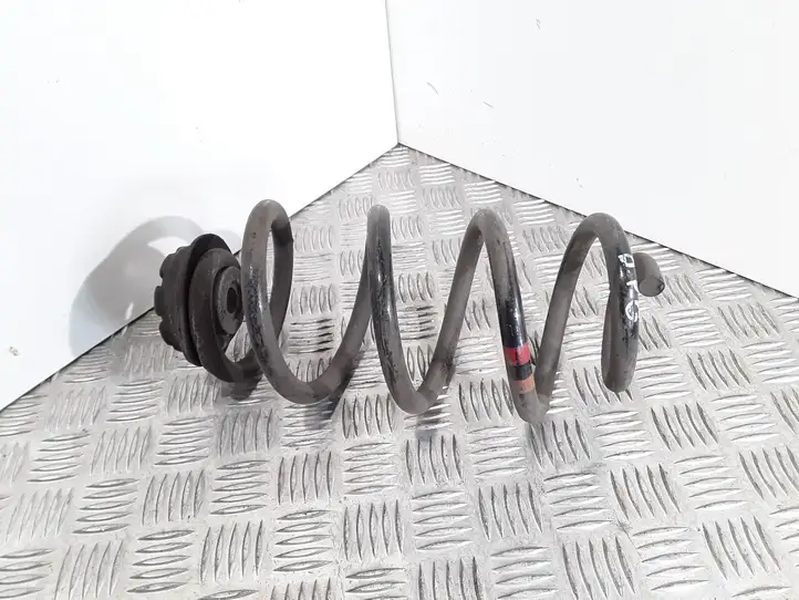 Nissan Qashqai (2006 - 2010) Пружина задней подвески — фото 1