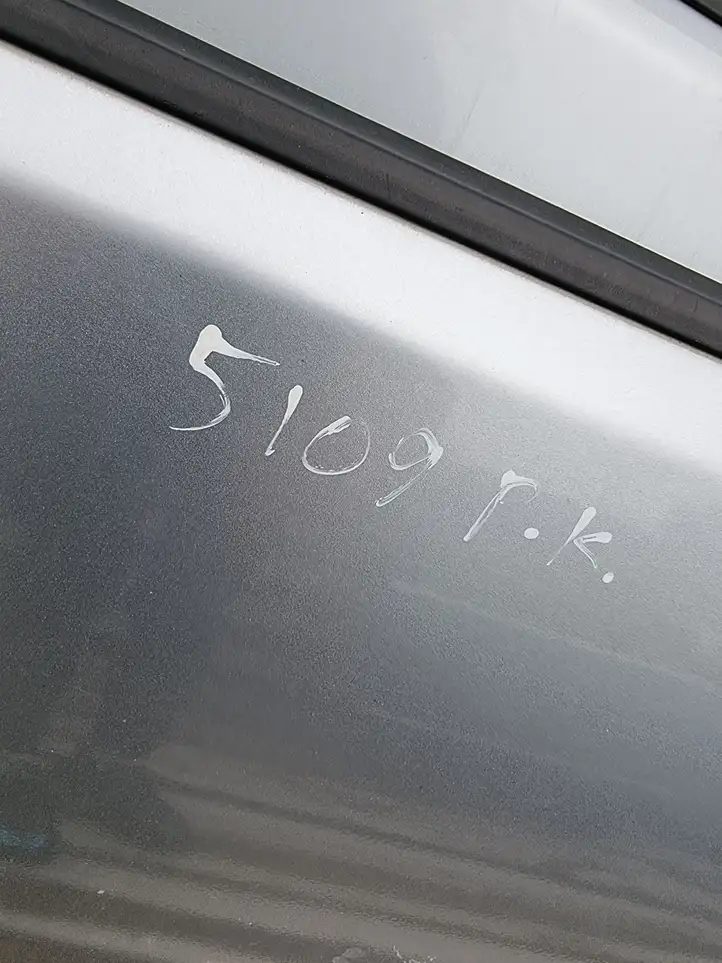 Volkswagen Polo (2005 - 2009) Дверь — фото 2