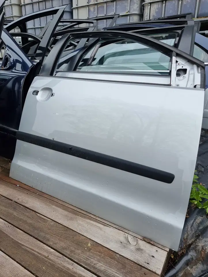 Volkswagen Polo (2005 - 2009) Дверь — фото 5