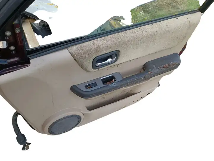 Nissan X-Trail T30 (2001 - 2007) Дверь — фото 3